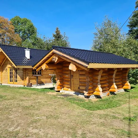 Chalet Am See Bad Brambach Exterior photo