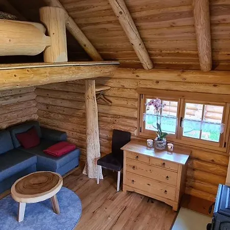 Chalet Am See Bad Brambach Exterior photo